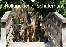 Kalender Holländischer Schäferhund (Wandkalender 2022 DIN A3 quer) von Fotodesign Verena Scholze