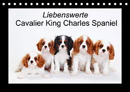 Kalender Liebenswerte Cavalier King Charles Spaniel (Tischkalender 2022 DIN A5 quer) von Petra Wegner