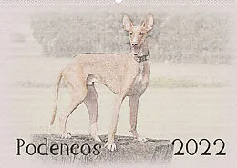 Kalender Podencos 2022 (Wandkalender 2022 DIN A2 quer) von Andrea Redecker