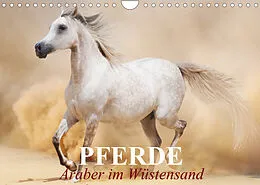 Kalender Pferde  Araber im Wüstensand (Wandkalender 2022 DIN A4 quer) von Elisabeth Stanzer