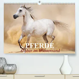 Kalender Pferde  Araber im Wüstensand (Premium, hochwertiger DIN A2 Wandkalender 2022, Kunstdruck in Hochglanz) von Elisabeth Stanzer