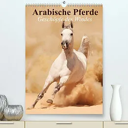 Kalender Arabische Pferde  Geschöpfe des Windes (Premium, hochwertiger DIN A2 Wandkalender 2022, Kunstdruck in Hochglanz) von Elisabeth Stanzer