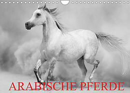 Kalender Arabische Pferde (Wandkalender 2022 DIN A4 quer) von Elisabeth Stanzer