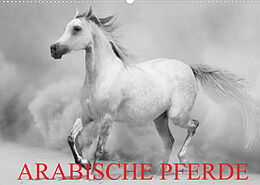 Kalender Arabische Pferde (Wandkalender 2022 DIN A2 quer) von Elisabeth Stanzer