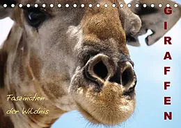 Kalender Giraffen  Faszination der Wildnis (Tischkalender 2022 DIN A5 quer) von Nadine Haase