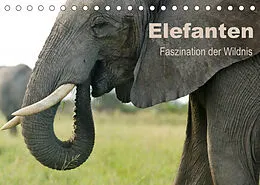 Kalender Elefanten - Faszination der Wildnis (Tischkalender 2022 DIN A5 quer) von Nadine Haase