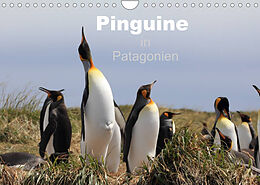 Kalender Pinguine in Patagonien (Wandkalender 2022 DIN A4 quer) von Clemens Göb, Ute Köhler
