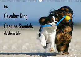 Kalender Mit Cavalier King Charles Spaniels durch das Jahr (Wandkalender 2022 DIN A3 quer) von Petra Wegner