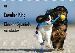Kalender Mit Cavalier King Charles Spaniels durch das Jahr (Wandkalender 2022 DIN A2 quer) von Petra Wegner