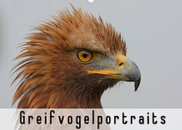 Kalender Greifvogelportraits (Wandkalender 2022 DIN A2 quer) von Gerald Wolf