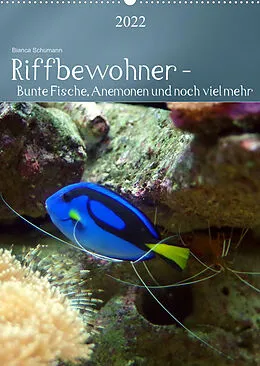 Kalender Riffbewohner - Bunte Fische, Anemonen und noch viel mehrAT-Version (Wandkalender 2022 DIN A2 hoch) von Bianca Schumann