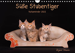 Kalender Süße Stubentiger - Katzenkinder (Wandkalender 2022 DIN A4 quer) von Regine Heuser