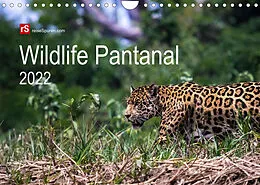 Kalender Wildlife Pantanal 2022 (Wandkalender 2022 DIN A4 quer) von Uwe Bergwitz