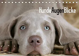 Kalender HundeAugenBlicke (Tischkalender 2022 DIN A5 quer) von Petra Wegner