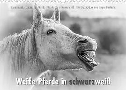 Kalender Emotionale Momente: Weiße Pferde in schwarzweiß. (Wandkalender 2022 DIN A3 quer) von Ingo Gerlach