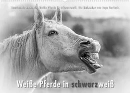 Kalender Emotionale Momente: Weiße Pferde in schwarzweiß. (Wandkalender 2022 DIN A2 quer) von Ingo Gerlach