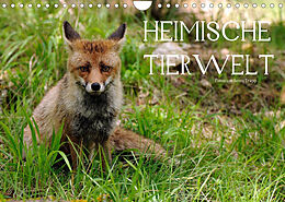 Kalender Heimische Tierwelt (Wandkalender 2022 DIN A4 quer) von Benny Trapp