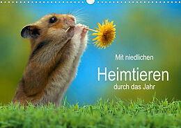 Kalender Mit niedlichen Heimtieren durch das Jahr (Wandkalender 2022 DIN A3 quer) von Petra Wegner