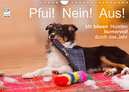 Kalender Pfui! Nein! Aus! - Mit bösen Hunden humorvoll durch das Jahr (Wandkalender 2022 DIN A4 quer) von Petra Wegner