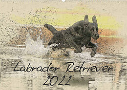 Kalender Labrador Retriever 2022 (Wandkalender 2022 DIN A2 quer) von Andrea Redecker