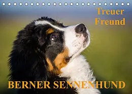 Kalender Treuer Freund Berner Sennenhund (Tischkalender 2022 DIN A5 quer) von Sigrid Starick