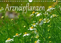 Kalender Arzneipflanzen (Wandkalender 2022 DIN A4 quer) von LianeM