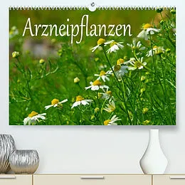 Kalender Arzneipflanzen (Premium, hochwertiger DIN A2 Wandkalender 2022, Kunstdruck in Hochglanz) von LianeM