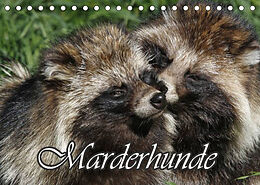 Kalender Marderhunde (Tischkalender 2022 DIN A5 quer) von Antje Lindert-Rottke