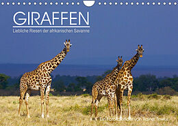 Kalender GIRAFFEN - Liebliche Riesen der afrikanischen Savanne (Wandkalender 2022 DIN A4 quer) von Rainer Tewes