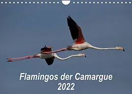 Kalender Flamingos der Camargue 2022 (Wandkalender 2022 DIN A4 quer) von Photo-Pirsch