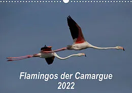 Kalender Flamingos der Camargue 2022 (Wandkalender 2022 DIN A3 quer) von Photo-Pirsch