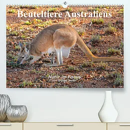 Kalender Beuteltiere Australiens (Premium, hochwertiger DIN A2 Wandkalender 2022, Kunstdruck in Hochglanz) von Sidney Smith