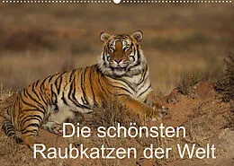 Kalender Die schönsten Raubkatzen der Welt (Wandkalender 2022 DIN A2 quer) von Marion Vollborn