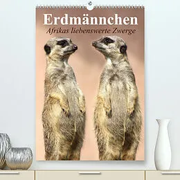 Kalender Erdmännchen - Afrikas liebenswerte Zwerge (Premium, hochwertiger DIN A2 Wandkalender 2022, Kunstdruck in Hochglanz) von Elisabeth Stanzer