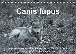 Kalender Canis lupus (Tischkalender 2022 DIN A5 quer) von Ursula Di Chito
