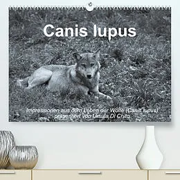 Kalender Canis lupus (Premium, hochwertiger DIN A2 Wandkalender 2022, Kunstdruck in Hochglanz) von Ursula Di Chito