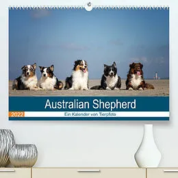 Kalender Australian Shepherd 2022 (Premium, hochwertiger DIN A2 Wandkalender 2022, Kunstdruck in Hochglanz) von Annett Mirsberger www.annettmirsberger.de