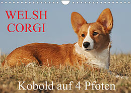 Kalender Welsh Corgi - Kobold auf 4 Pfoten (Wandkalender 2022 DIN A4 quer) von Sigrid Starick