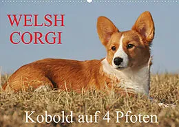 Kalender Welsh Corgi - Kobold auf 4 Pfoten (Wandkalender 2022 DIN A2 quer) von Sigrid Starick