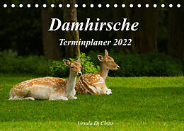 Kalender Damhirsche (Tischkalender 2022 DIN A5 quer) von Ursula Di Chito