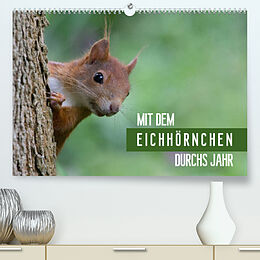 Kalender Mit dem Eichhörnchen durchs Jahr (Premium, hochwertiger DIN A2 Wandkalender 2022, Kunstdruck in Hochglanz) von Margret Brackhan