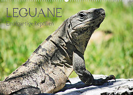 Kalender Leguane - Einzigartige Reptilien (Wandkalender 2022 DIN A2 quer) von Frank Hornecker