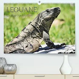 Kalender Leguane - Einzigartige Reptilien (Premium, hochwertiger DIN A2 Wandkalender 2022, Kunstdruck in Hochglanz) von Frank Hornecker