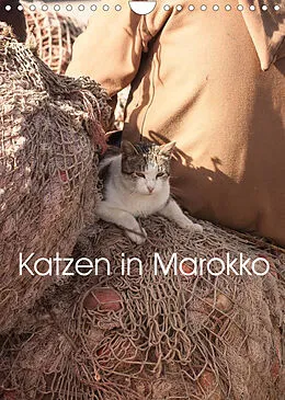 Kalender Katzen in Marokko (Wandkalender 2022 DIN A4 hoch) von Anja Klein + Andreas Lauermann