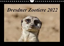 Kalender Dresdner Zootiere 2022 (Wandkalender 2022 DIN A4 quer) von Michael Weirauch
