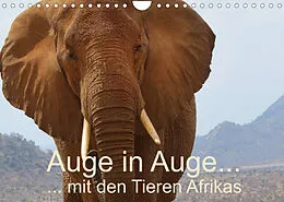 Kalender Auge in Auge mit den Tieren Afrikas (Wandkalender 2022 DIN A4 quer) von Brigitte Dürr