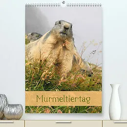 Kalender Murmeltiertag (Premium, hochwertiger DIN A2 Wandkalender 2022, Kunstdruck in Hochglanz) von Andrea Pons