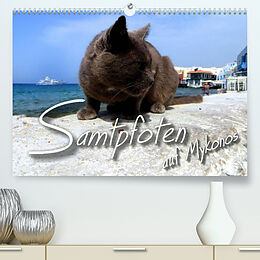 Kalender SAMTPFOTEN auf Mykonos (Premium, hochwertiger DIN A2 Wandkalender 2022, Kunstdruck in Hochglanz) von Renate Bleicher