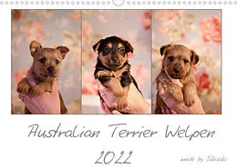 Kalender Australian Terrier Welpen (Wandkalender 2022 DIN A3 quer) von Sikisaki Tierfotografie