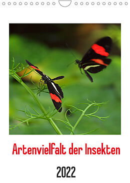 Kalender Artenvielfalt der Insekten (Wandkalender 2022 DIN A4 hoch) von Dagmar Laimgruber